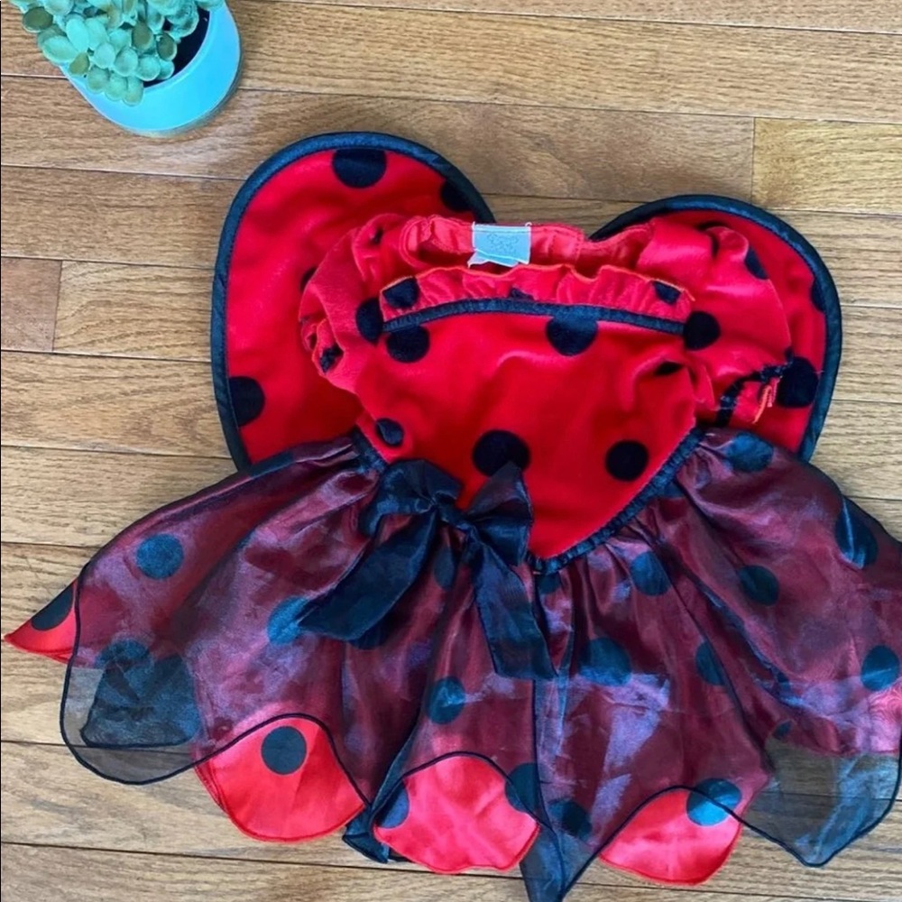 Baby Ladybug Halloween Costume
